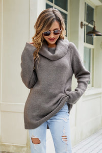 Cowl Neck Raglan Sleeve Sweater
